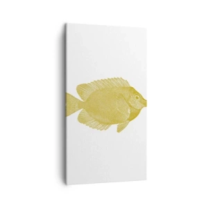 Impression sur toile - Image sur toile - Du poisson et c'est tout - 45x80 cm