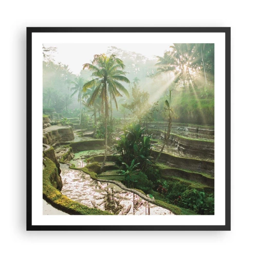 Affiche dans un cadre noir - Poster - Grandir au soleil - 60x60 cm