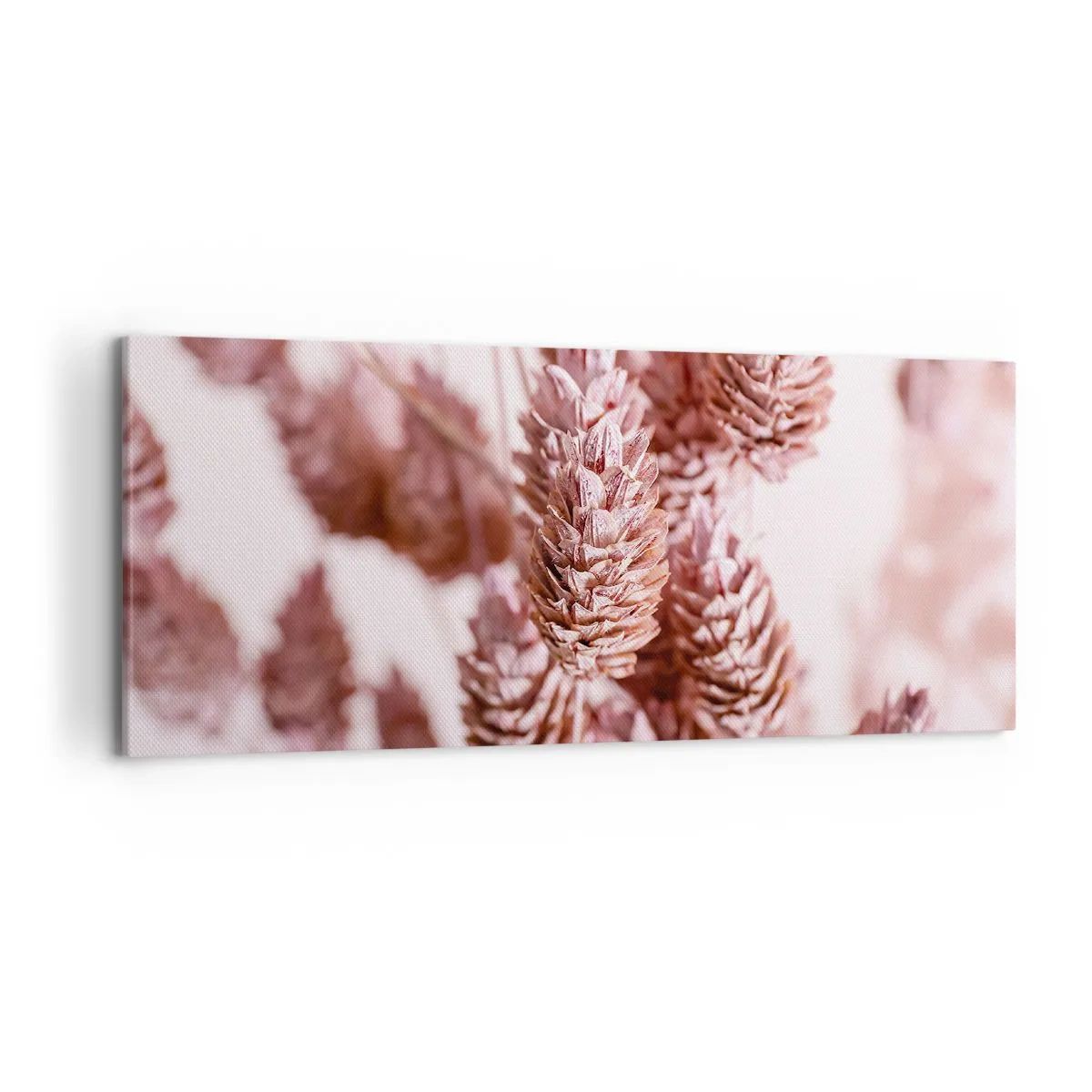 Impression sur toile - Image sur toile - Gros plan sur les délicats épis roses des graminées ornementales - 120x50cm - Apparemment discret - Décoration murale moderne pour le salon et la chambre ARTTOR