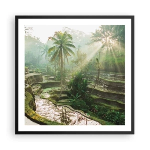 Affiche dans un cadre noir - Poster - Grandir au soleil - 60x60 cm