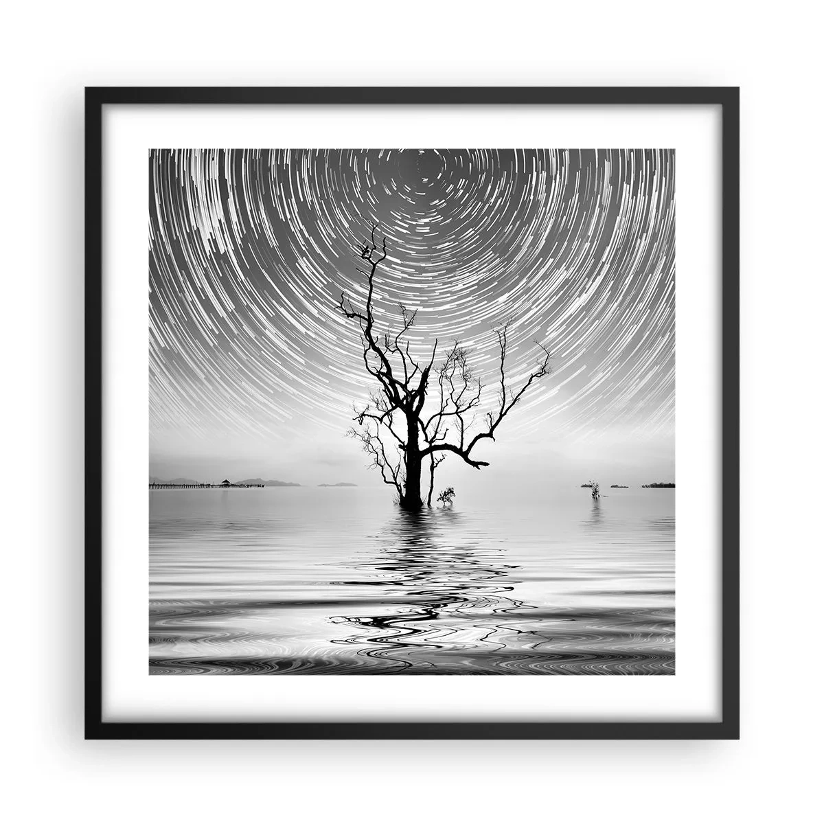 Affiche dans un cadre noir - Poster - La symphonie de la nature - 50x50 cm