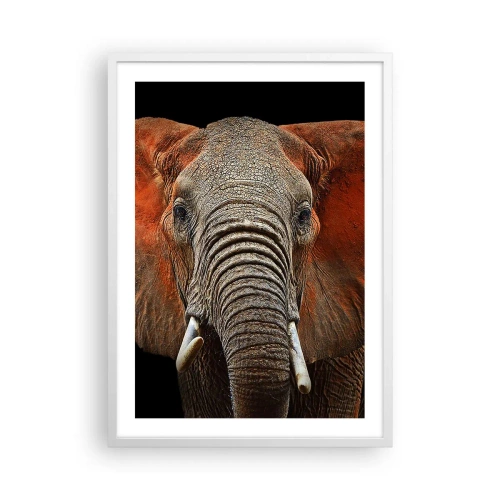 Affiche dans un cadre blanc - Poster - Je suis sauvage, et toi? - 50x70 cm