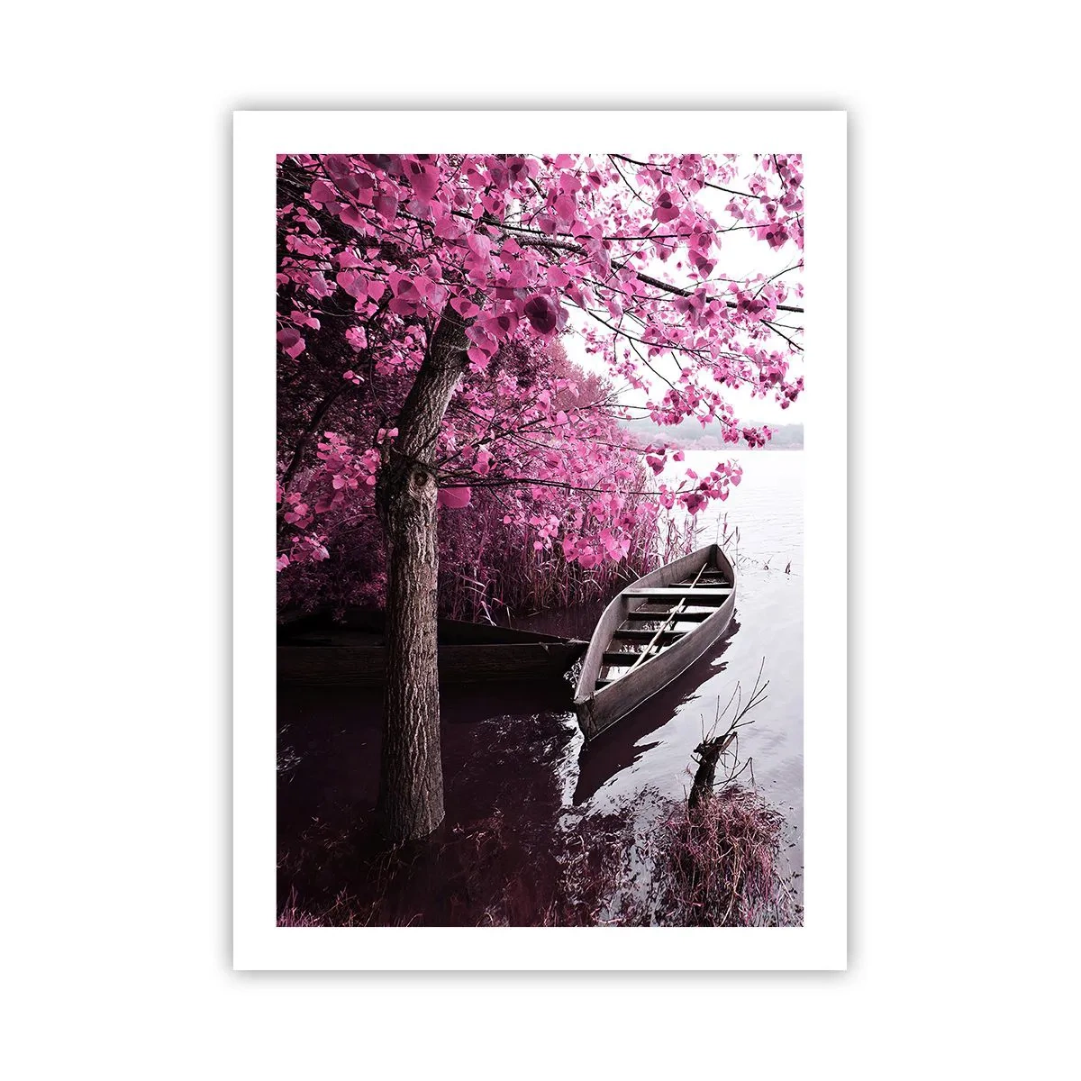 Affiche - Poster - Un bateau sur la rive d'un lac sous un arbre aux feuilles en fleurs - 50x70cm - Dans un silence rose - Décoration murale moderne pour le salon et la chambre ARTTOR