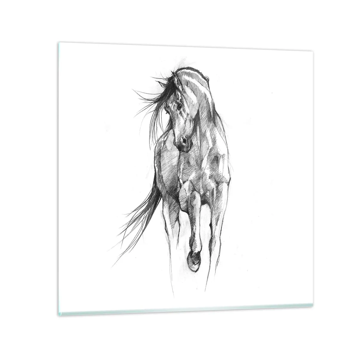 Impression sur verre - Image sur verre - D'un trot gracieux - 40x40 cm
