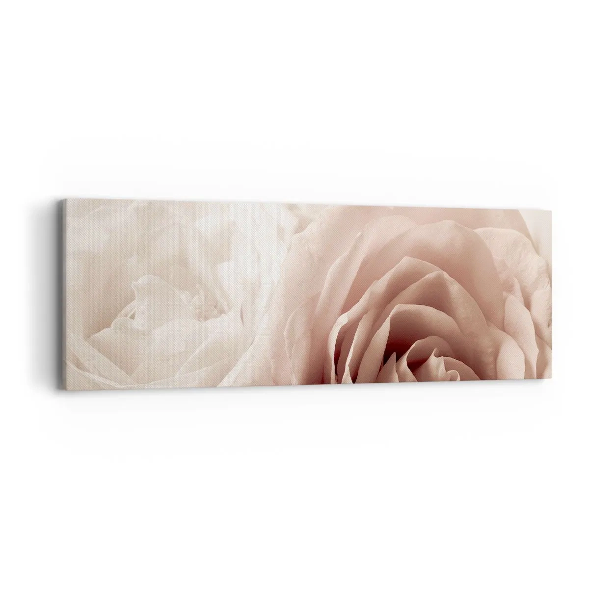 Impression sur toile - Image sur toile - Au coeur d'ue la rose - 90x30 cm