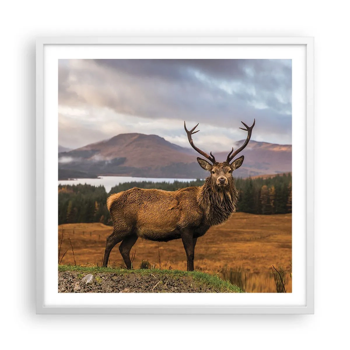 Affiche dans un cadre blanc - Poster - Majesté de la nature - 60x60 cm