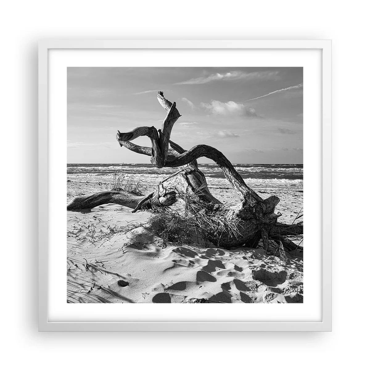 Affiche dans un cadre blanc - Poster - Sculpture marine - 50x50 cm