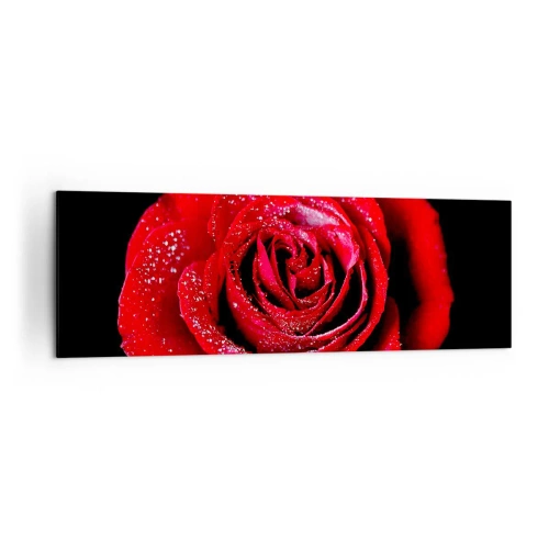 Impression sur toile - Image sur toile - Une rose rouge couverte de gouttes de rosée sur fond noir. - 160x50cm - C'est ça l'amour - Décoration murale moderne pour le salon et la chambre ARTTOR