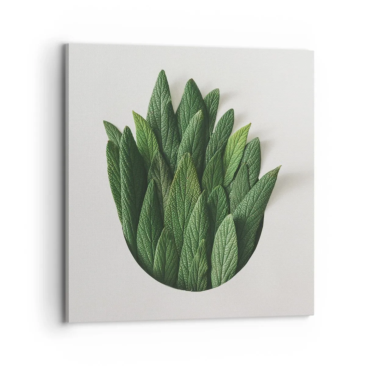 Impression sur toile - Image sur toile - Curiosité sans retenue - 70x70 cm