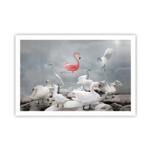 Affiche - Poster - Comment suis-je arrivé là? - 91x61 cm