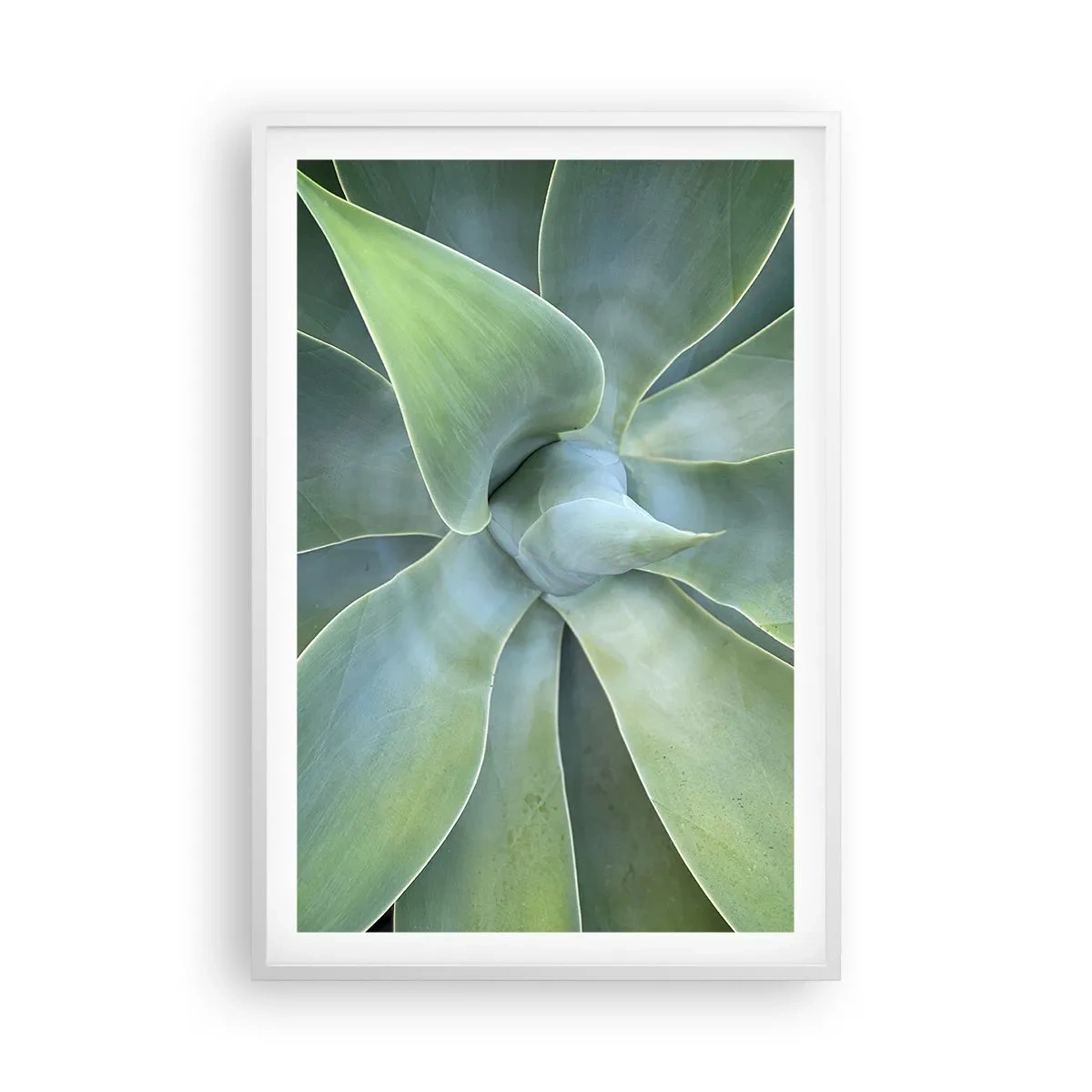 Affiche dans un cadre blanc - Poster - La naissance de la verdure - 61x91 cm