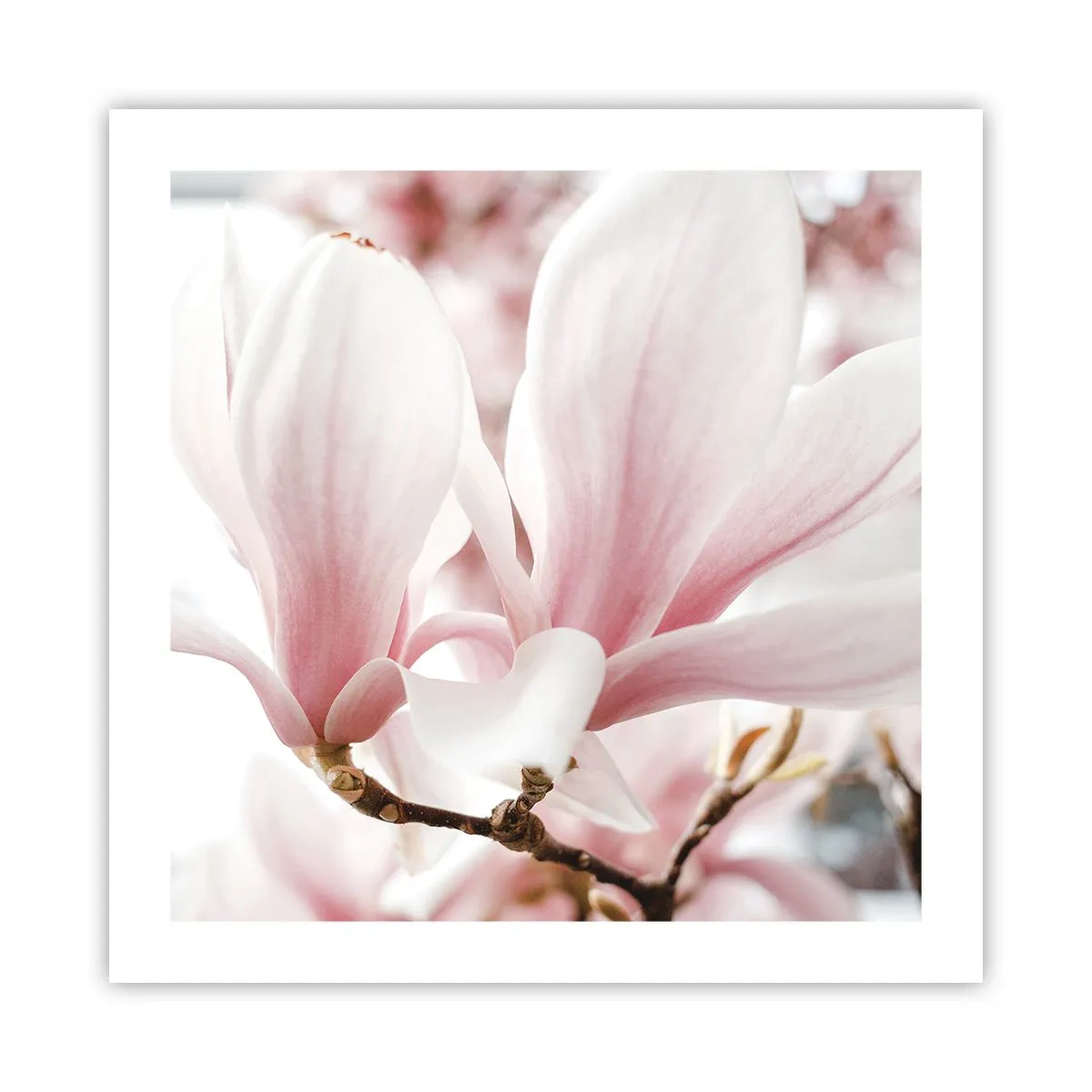 Affiche - Poster - Abondance de tendresse - 50x50 cm