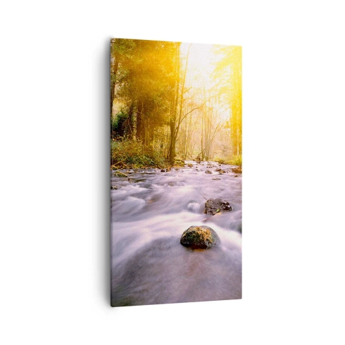 Impression sur toile - Image sur toile - Malachite dans un cadre argent et or - 55x100 cm