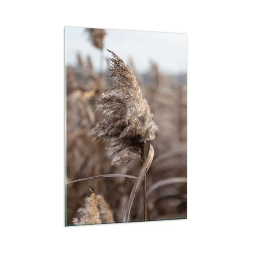 Impression sur verre - Image sur verre - Graminées délicates dans des tons beiges sur fond de nature - 80x120cm - Il est temps de s'envoler avec le vent - Décoration murale moderne pour le salon et la chambre ARTTOR