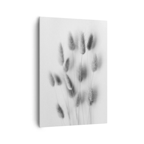 Impression sur toile - Image sur toile - Graminées délicates dans des tons de gris sur fond blanc - 70x100cm - Son herbe duveteuse - Décoration murale moderne pour le salon et la chambre ARTTOR