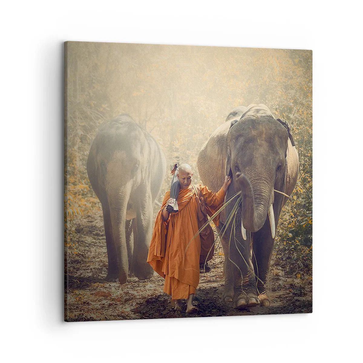 Impression sur toile - Image sur toile - Compréhension totale - 50x50 cm