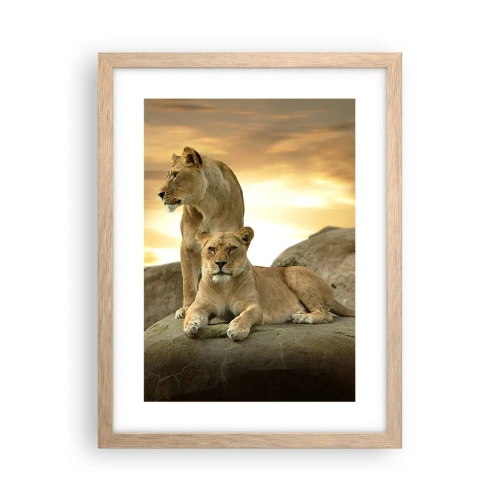 Affiche dans un chêne clair - Poster - Majesté royale - 30x40 cm