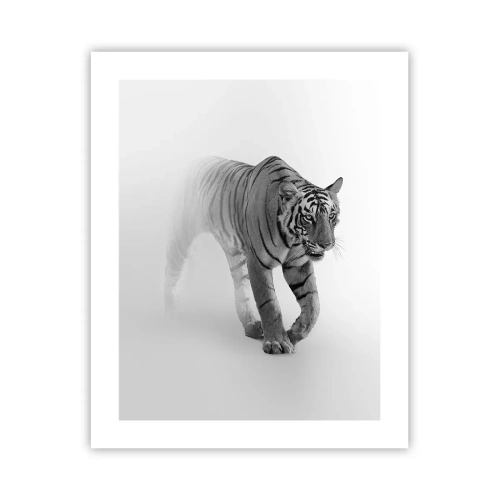 Affiche - Poster - Accroupi dans le brouillard - 40x50 cm