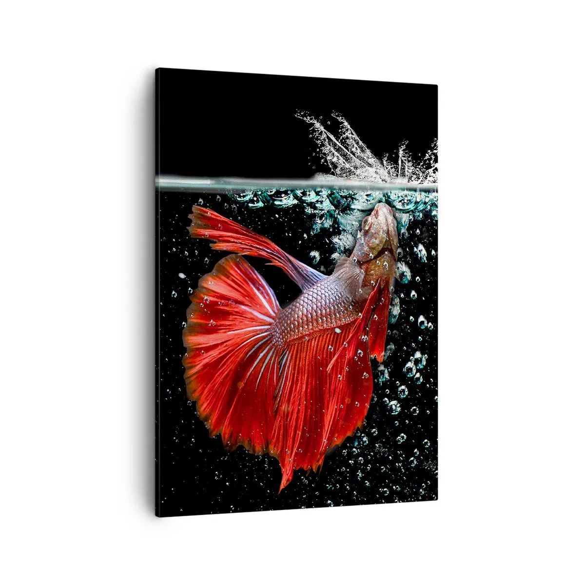 Impression sur toile - Image sur toile - Un magnifique betta dans l'eau sur un fond sombre - 50x70cm - Vous avez trois vœux - Décoration murale moderne pour le salon et la chambre ARTTOR