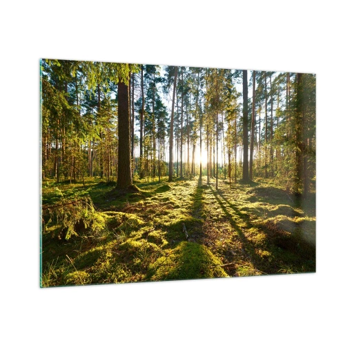 Impression sur verre - Image sur verre - Les rayons du soleil pénètrent à travers les arbres de la forêt - 100x70cm - … Derrière les sept forêts - Décoration murale moderne pour le salon et la chambre ARTTOR
