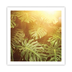 Affiche - Poster - Se fondre dans la verdure - 60x60 cm