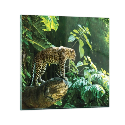 Impression sur verre - Image sur verre - À la chasse? - 30x30 cm