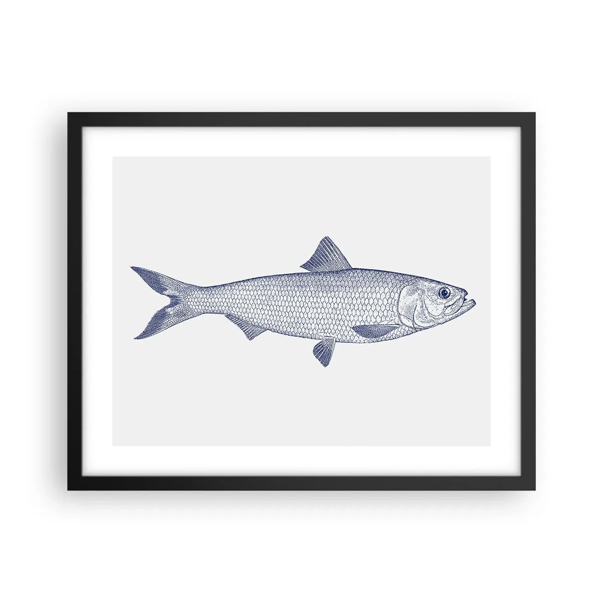 Affiche dans un cadre noir - Poster - Salutations des mers du nord - 50x40 cm