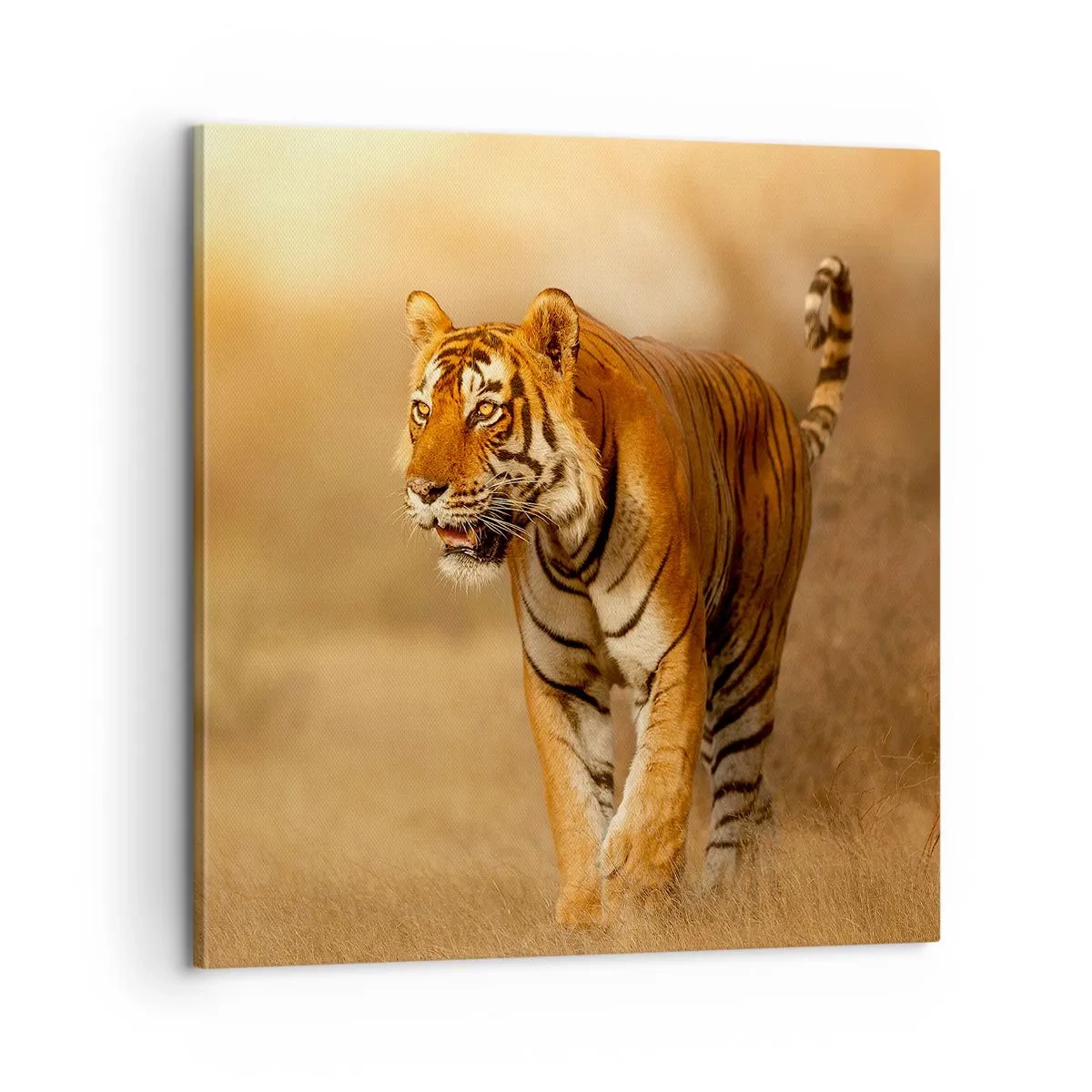 Impression sur toile - Image sur toile - Avant l'attaque - 60x60 cm