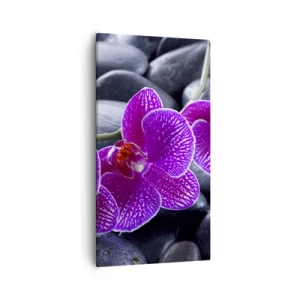 Impression sur toile - Image sur toile - Les pierres brillaient de joie - 55x100 cm