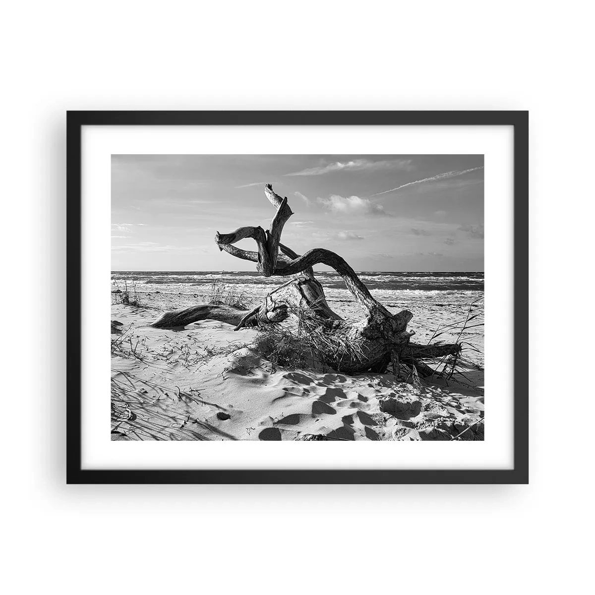 Affiche dans un cadre noir - Poster - Sculpture marine - 50x40 cm