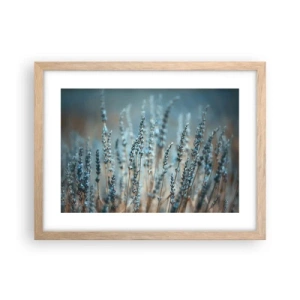 Affiche dans un chêne clair - Poster - Tige odorante - 40x30 cm