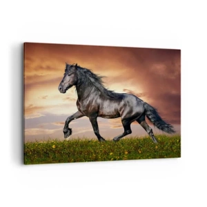 Impression sur toile - Image sur toile - Un cheval noir galopant contre le soleil couchant - 100x70cm - Livres noirs - Décoration murale moderne pour le salon et la chambre ARTTOR
