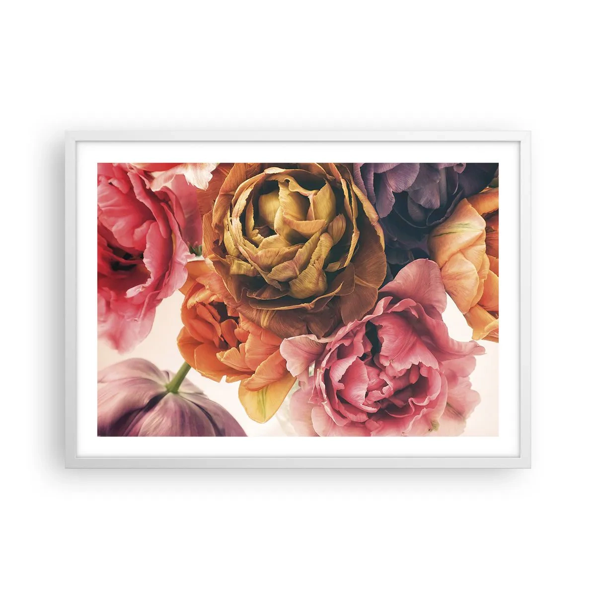 Affiche dans un cadre blanc - Poster - La fête de la vie - 70x50 cm