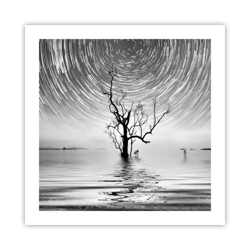 Affiche - Poster - La symphonie de la nature - 50x50 cm