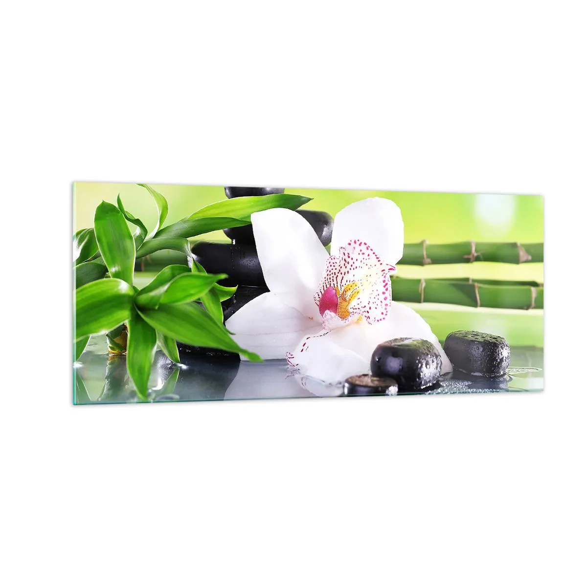 Impression sur verre - Image sur verre - Raffraîchissement de fraîcheur - 100x40 cm