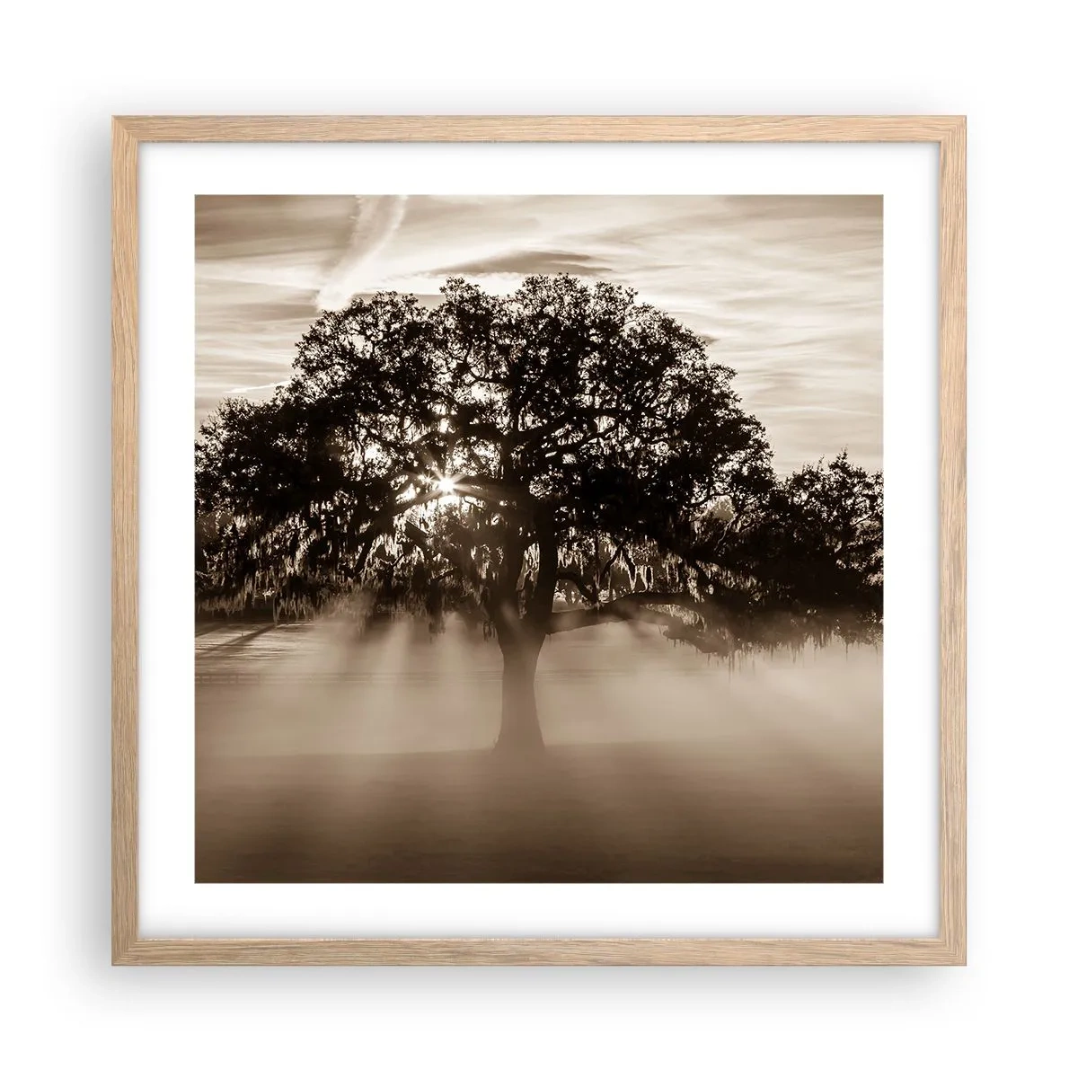 Affiche dans un chêne clair - Poster - Arbre de bonnes nouvelles - 50x50 cm