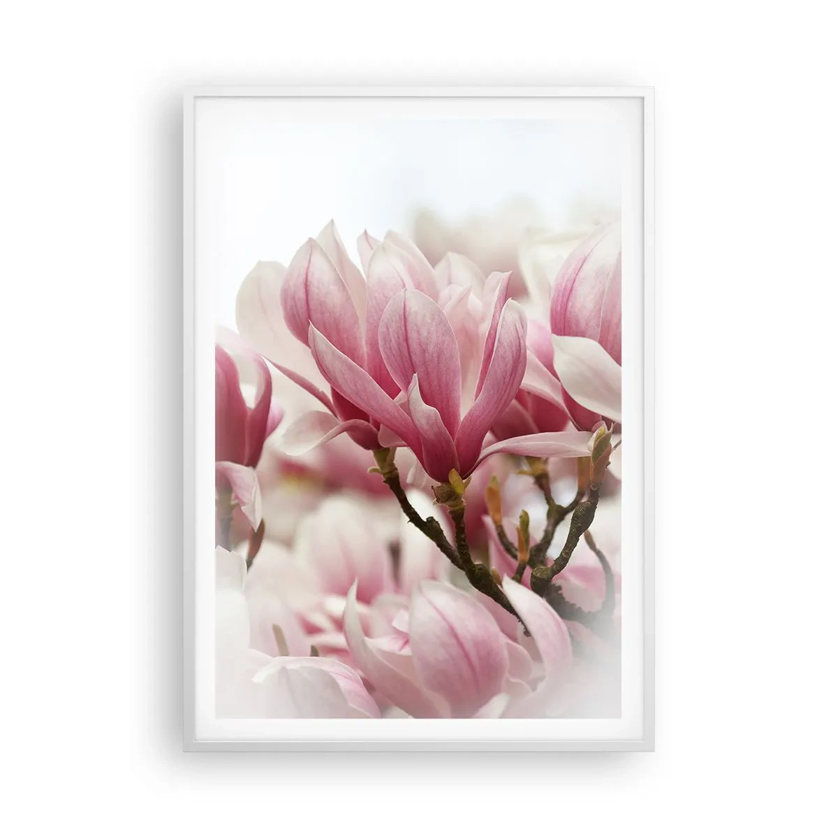 Affiche dans un cadre blanc - Poster - Fleurs de printemps - 70x100 cm