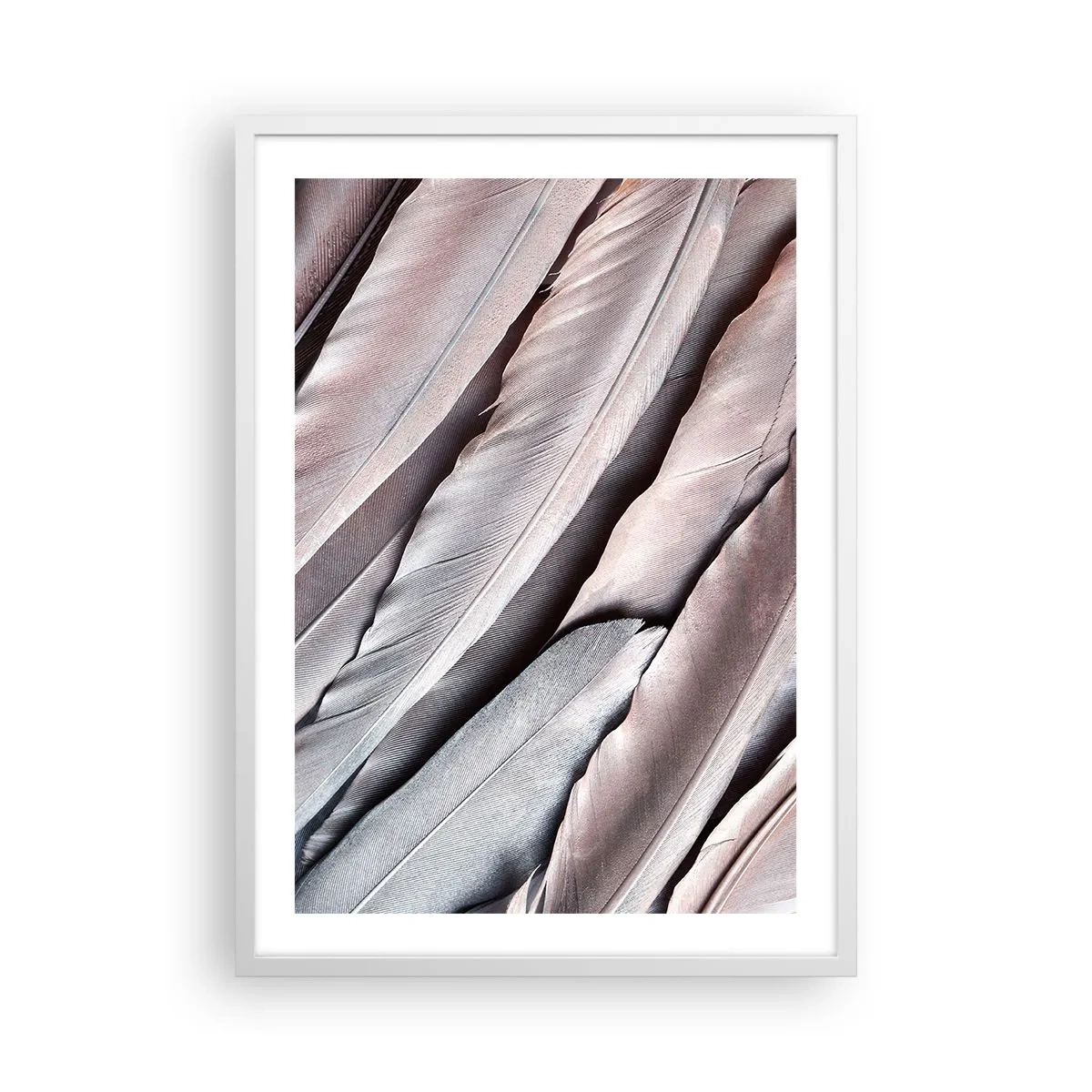 Affiche dans un cadre blanc - Poster - En argent rose - 50x70 cm