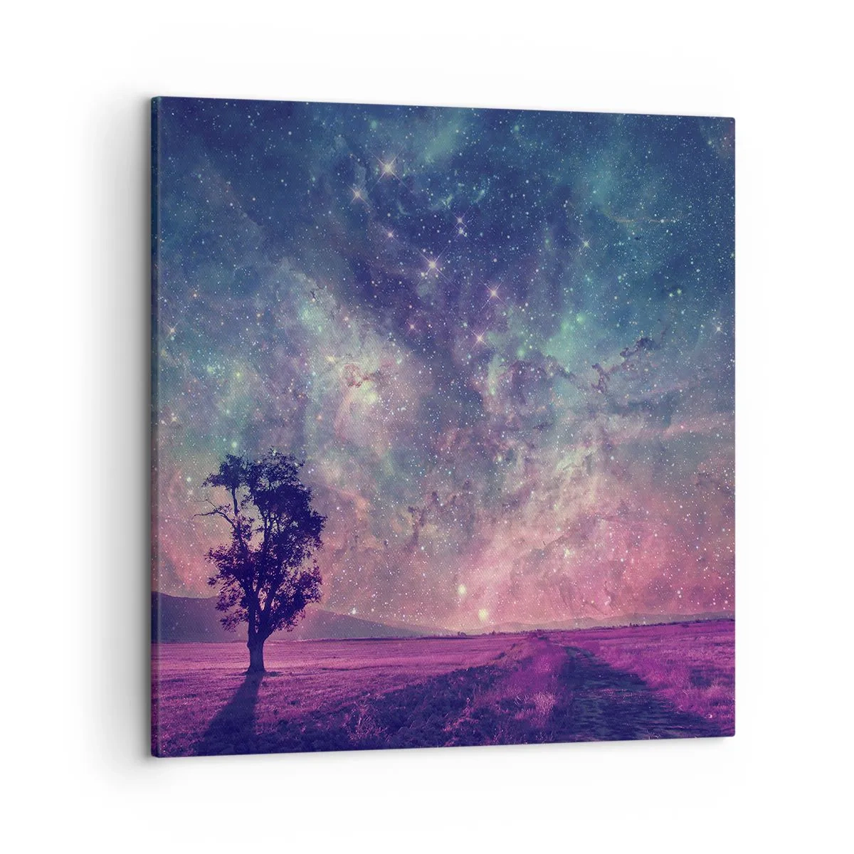 Impression sur toile - Image sur toile - Sous un ciel magique - 50x50 cm