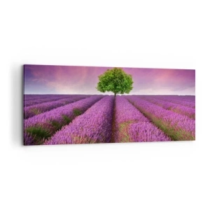 Impression sur toile - Image sur toile - Un champ de lavande avec un arbre solitaire et un ciel violet - 120x50cm - Dans un champs de lavande - Décoration murale moderne pour le salon et la chambre ARTTOR