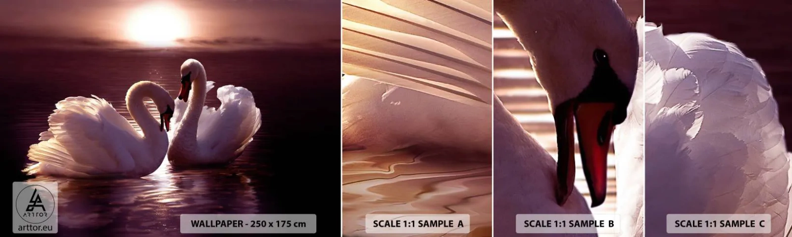 Échantillon De Papier Peint Standard Eco - Jusqu'à ce que la mort nous sépare - Animaux, Paysage, Cygnes - 100x30 cm