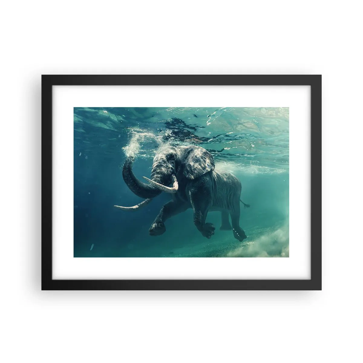 Affiche dans un cadre noir - Poster - Tout le monde aime nager - 40x30 cm