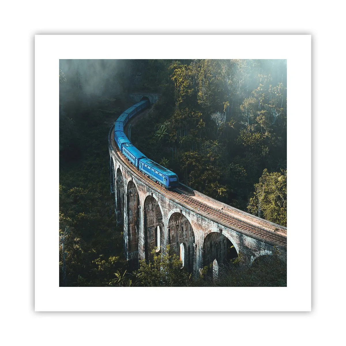 Affiche - Poster - Train nature - 40x40 cm