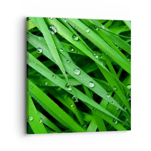 Impression sur toile - Image sur toile - Jouez dans le vert - 30x30 cm