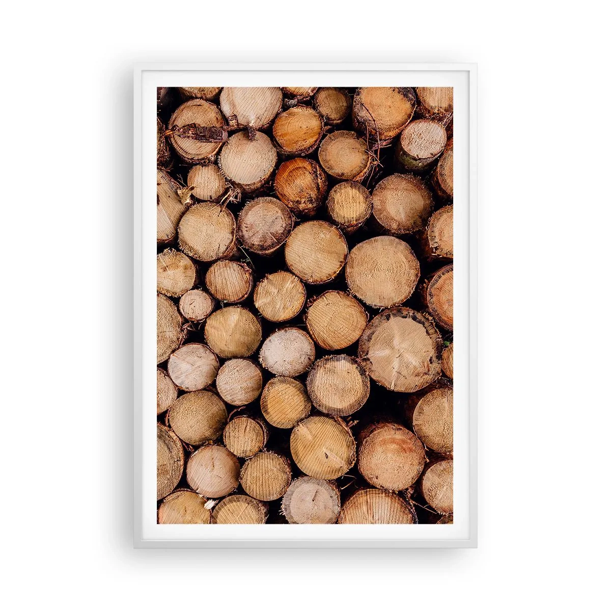 Affiche dans un cadre blanc - Poster - Nouveau commencement - 70x100 cm