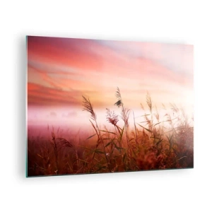 Impression sur verre - Image sur verre - Une prairie dans le brouillard du matin avec un ciel pastel - 70x50cm - Cerfs-volants, pissenlits, vent - Décoration murale moderne pour le salon et la chambre ARTTOR