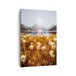 Impression sur toile - Image sur toile - Dureté de la roche, douceur de l'herbe - 70x100 cm