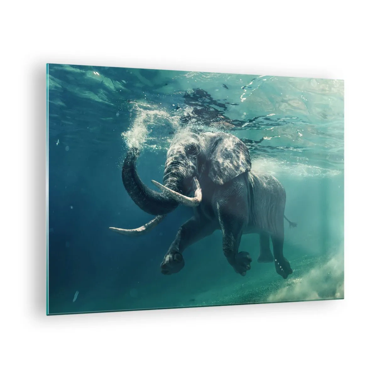 Impression sur verre - Image sur verre - Un éléphant nageant sous l'eau dans l'océan bleu - 70x50cm - Tout le monde aime nager - Décoration murale moderne pour le salon et la chambre ARTTOR