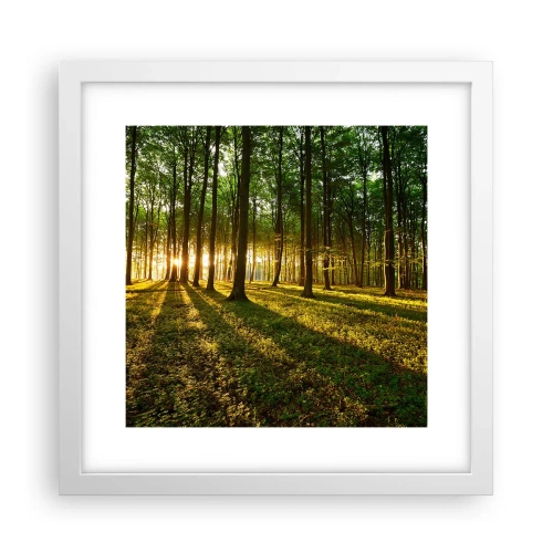 Affiche dans un cadre blanc - Poster - Toutes les photographies de printemps - 30x30 cm