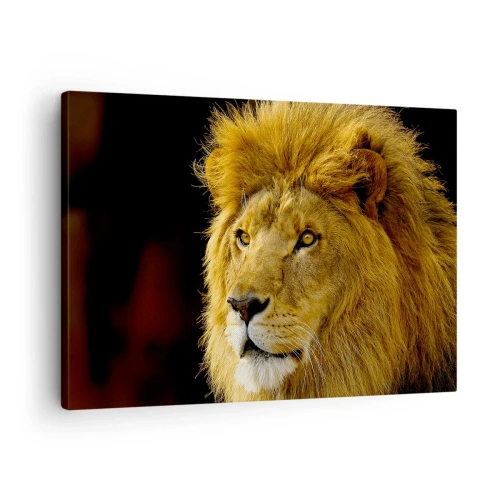 Impression sur toile - Image sur toile - Portrait d'un lion à la crinière majestueuse sur fond sombre - 70x50cm - Portrait de roi - Décoration murale moderne pour le salon et la chambre ARTTOR